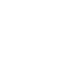 LOGO WILDSEED_SITE.png